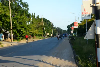 DSC_7990 (Large).JPG